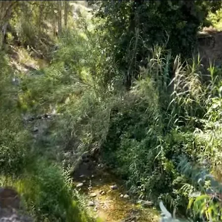 Molino De La Luz 别墅 Coín